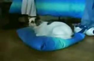 XXX Gadis muda secara vulgar cerpen xxx sedarah bermain di kamar mandi dengan vaginanya sendiri!