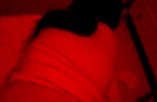 XXX Anak ayam cerita panas skandal anal dan kontol karet